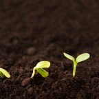 Visual Studio 2017 and Visual Studio 2015 with .NET Core