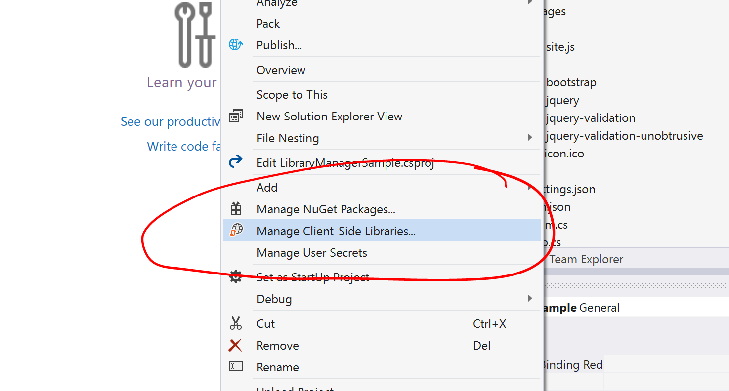 Manage Client Side Libraries