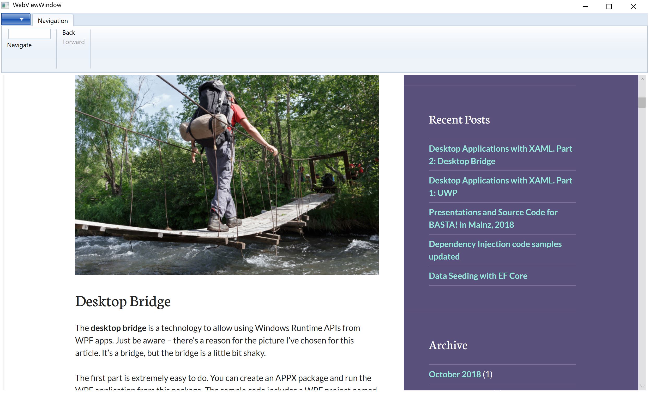 Web View with WPF