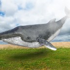 Project Tye – easier development with .NET for Kubernetes