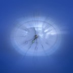 Temporal Tables with EF Core 6