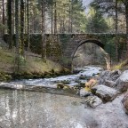 Thrive Conference in Slovenia